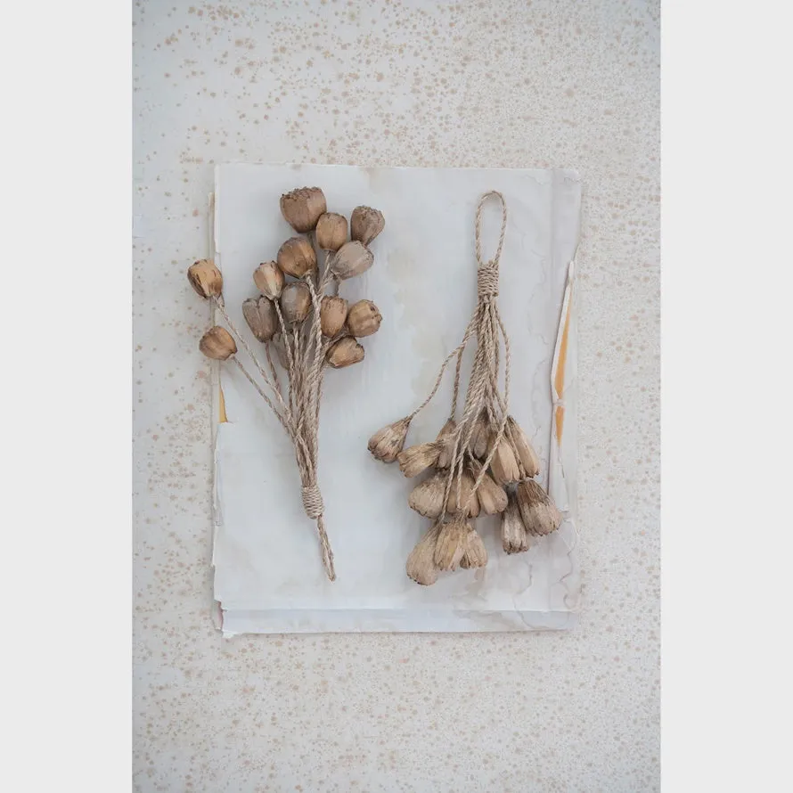 14"L Dried Pods/Pandan Pines Bunch with Abaca Rope Hanger
