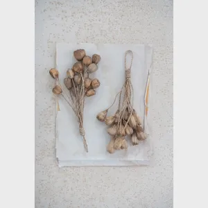 14"L Dried Pods/Pandan Pines Bunch with Abaca Rope Hanger