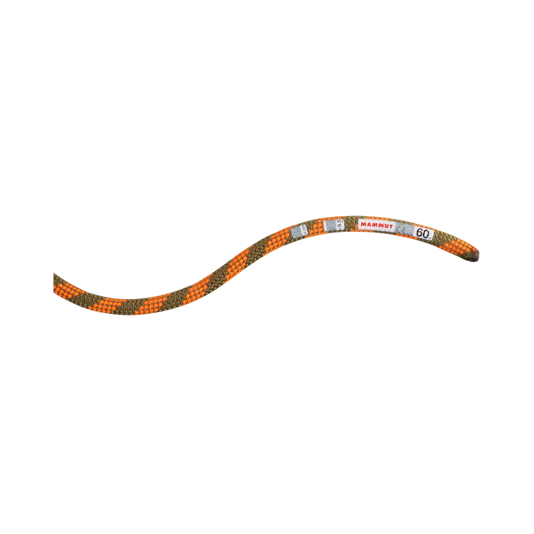 9.5 Crag Dry Rope