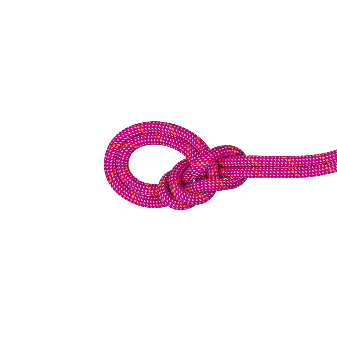 9.5 Crag Dry Rope