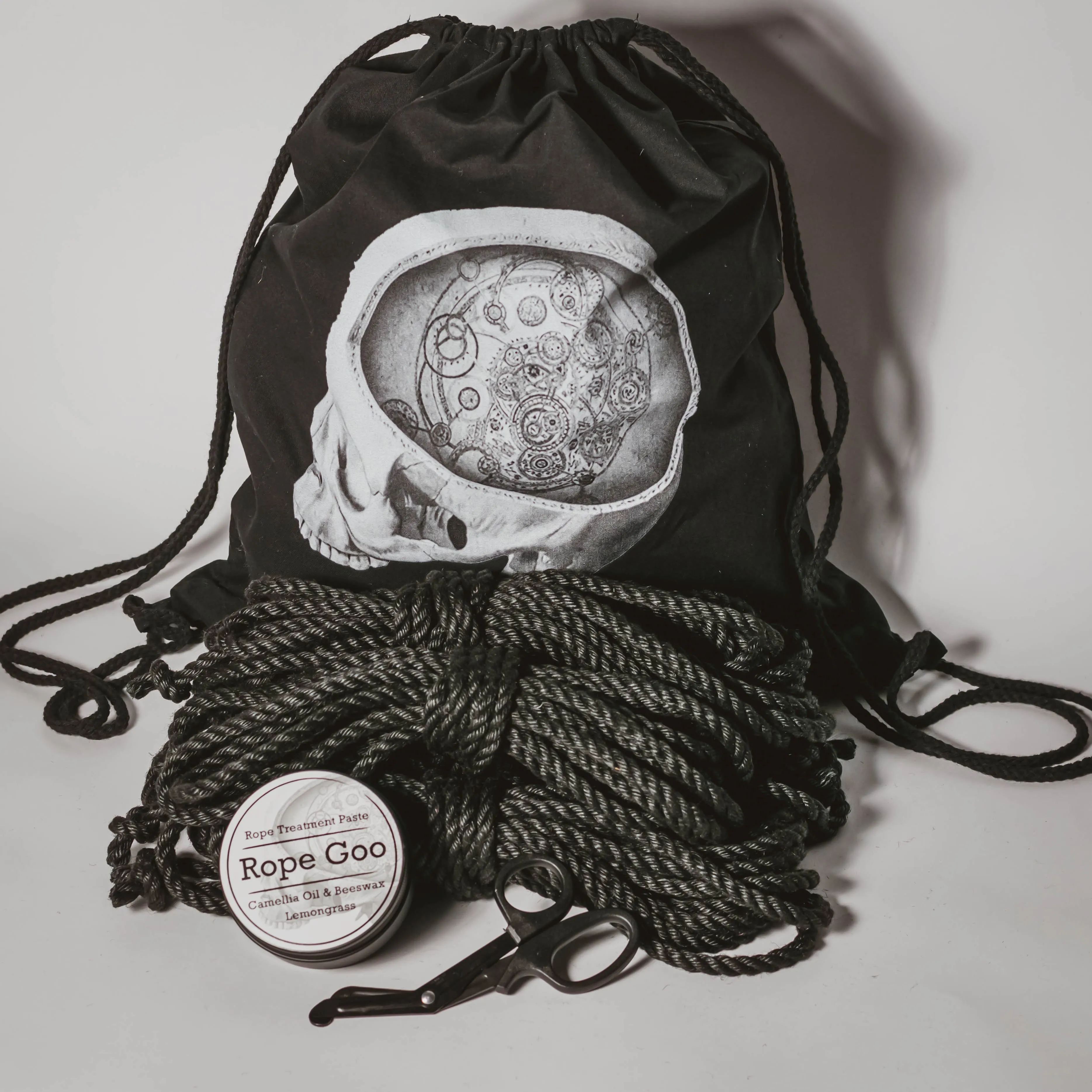 Anatomie Kit