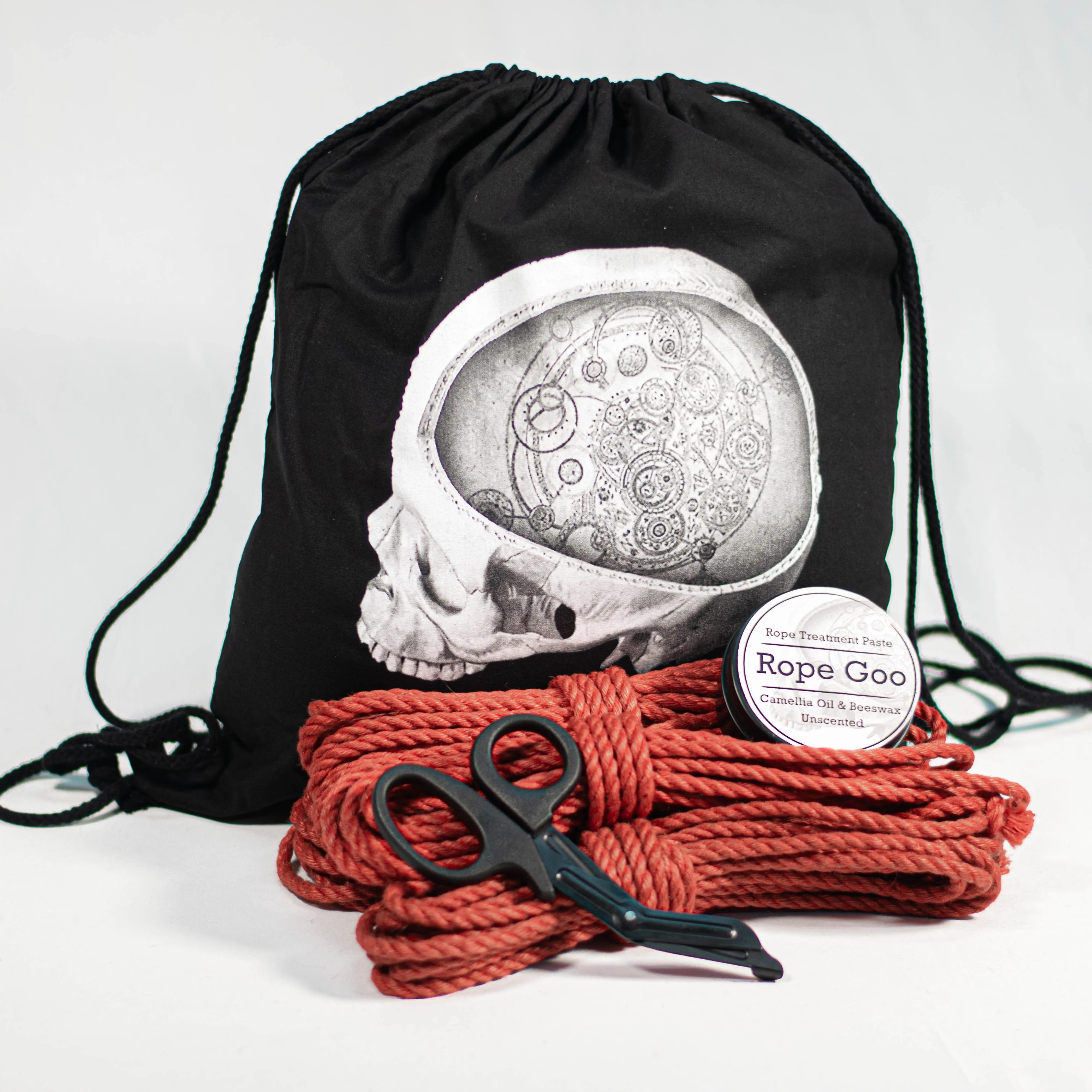 Anatomie Kit