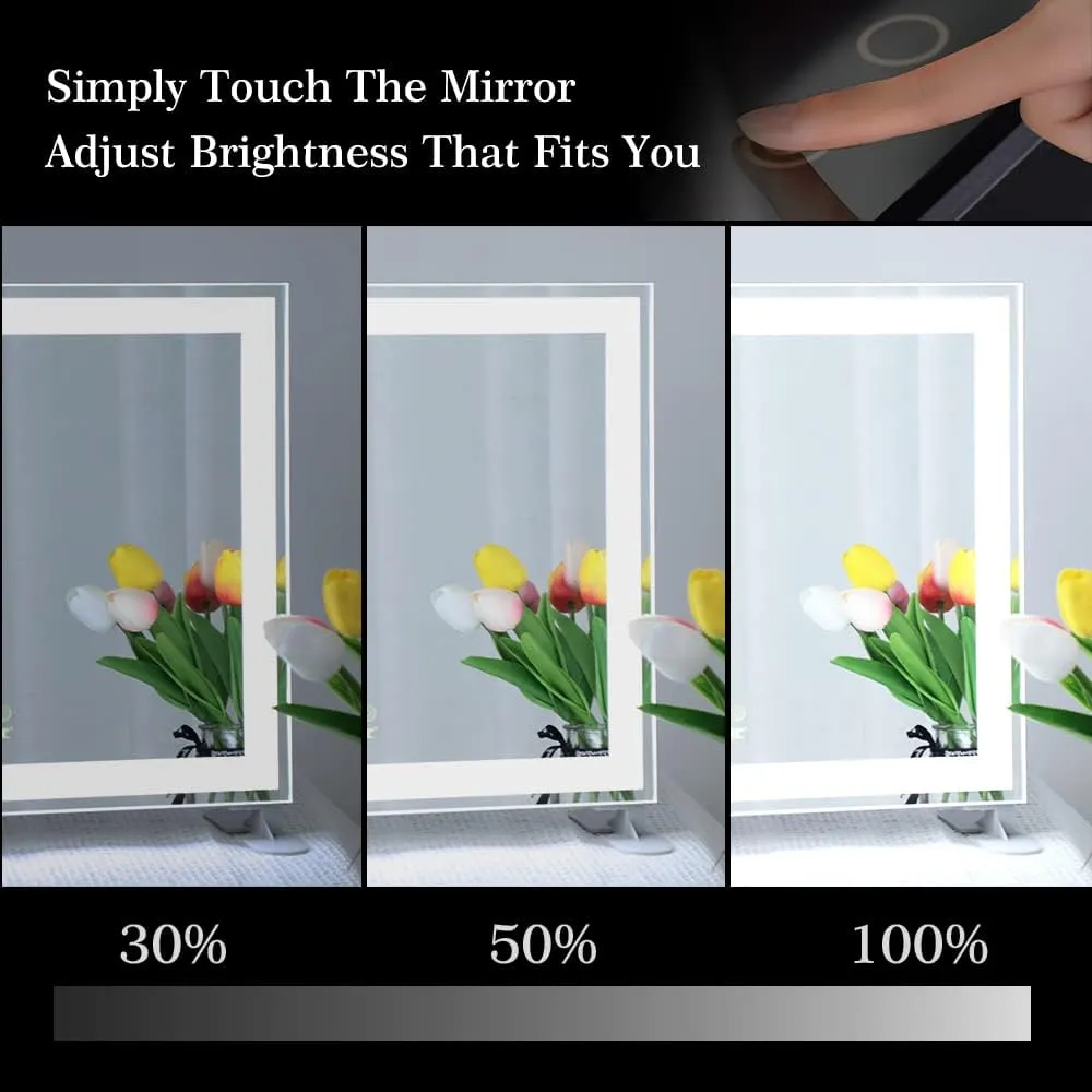 ANYHI Vanity Mirror with Lights, 19" x 16" Hollywood Makeup Mirror, Aluminum Brushed Frame, LED Light Strip, 3 Color Modes, Dimmable, Smart Touch Control, Silver