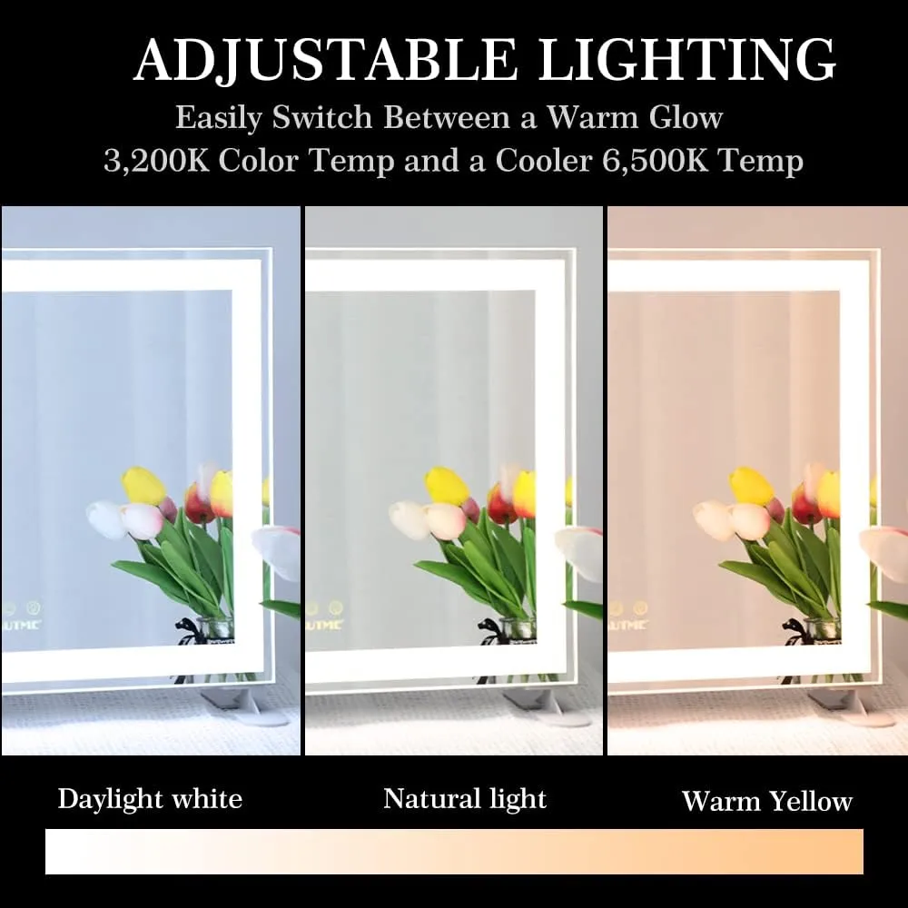 ANYHI Vanity Mirror with Lights, 19" x 16" Hollywood Makeup Mirror, Aluminum Brushed Frame, LED Light Strip, 3 Color Modes, Dimmable, Smart Touch Control, Silver