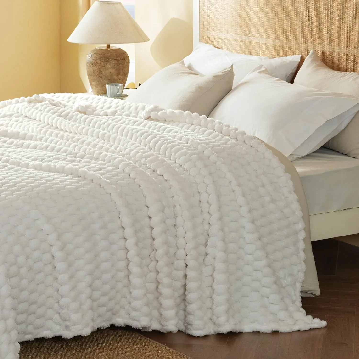 Bedsure Queen Blanket for Bed - Super Soft, Cozy Blankets for Women, Cute Fleece Gifts for Girls, Off White, 90x90 Inches
