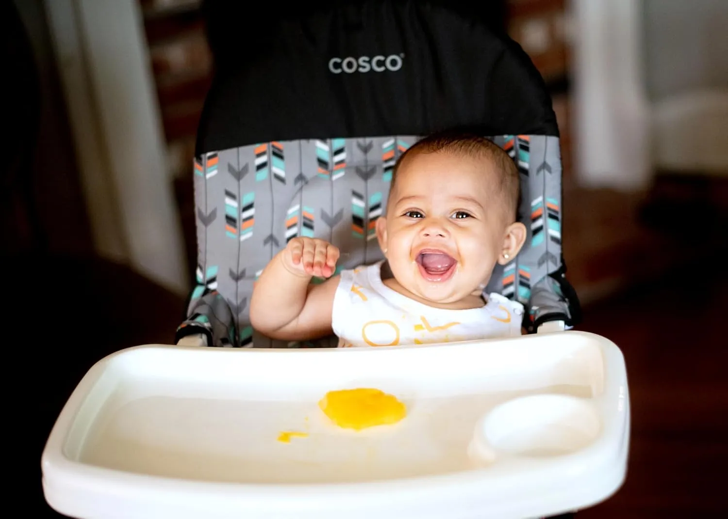 Cosco Kids Highchair for Baby, Simple Foldable High Chair, Convenient, Lightweight, and Compact Design, Mapleton