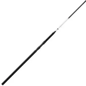 Daiwa Emblem-Pro Surf Spinning Rod | 10 Ft |