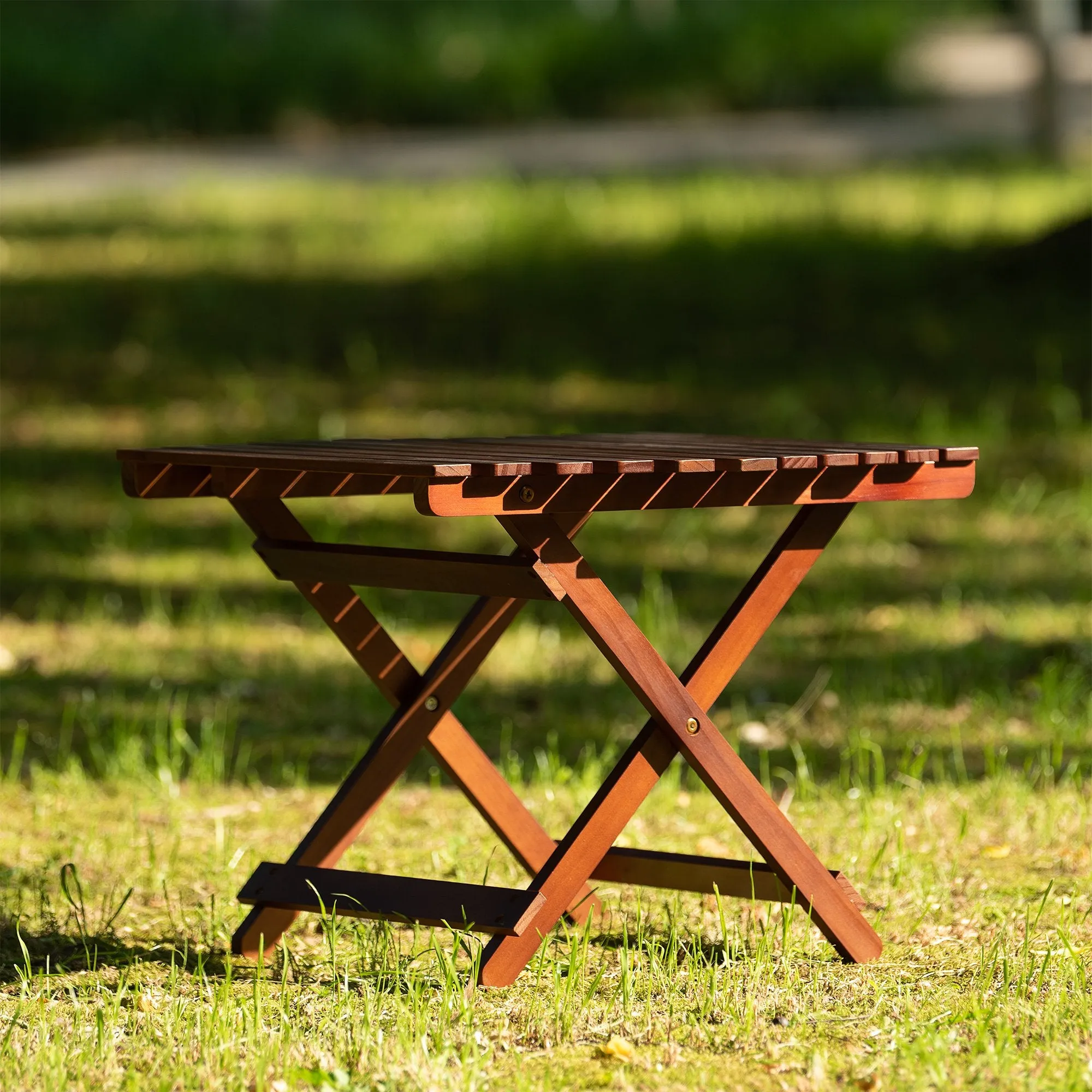 Folding Tray Table