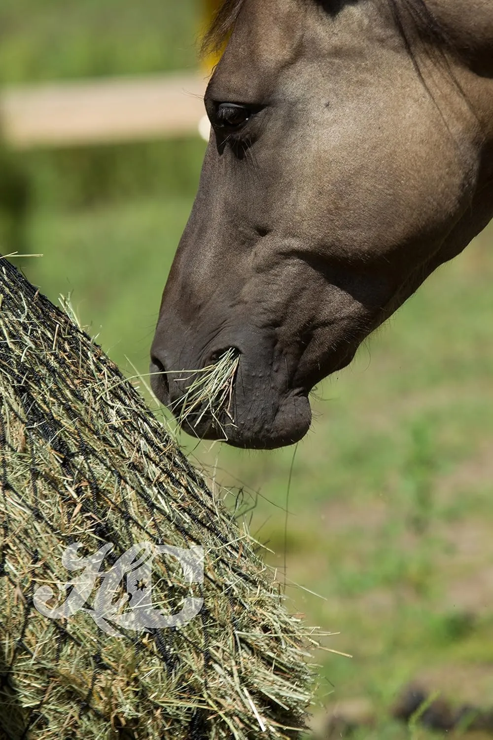 Hay Chix Hay Net for Horses | Slow Feed Hay Bag Feeder | Marine-Grade UV Treated Nylon | Holds 4-6 Flakes | Half Bale Net (1 3/4" Holes)