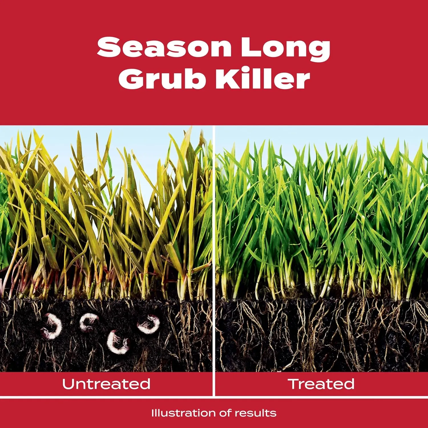 Scotts GrubEx1 Season Long Grub Killer, Protects Lawns Up to 4 Months, 10,000 sq. ft., 28.7 lbs