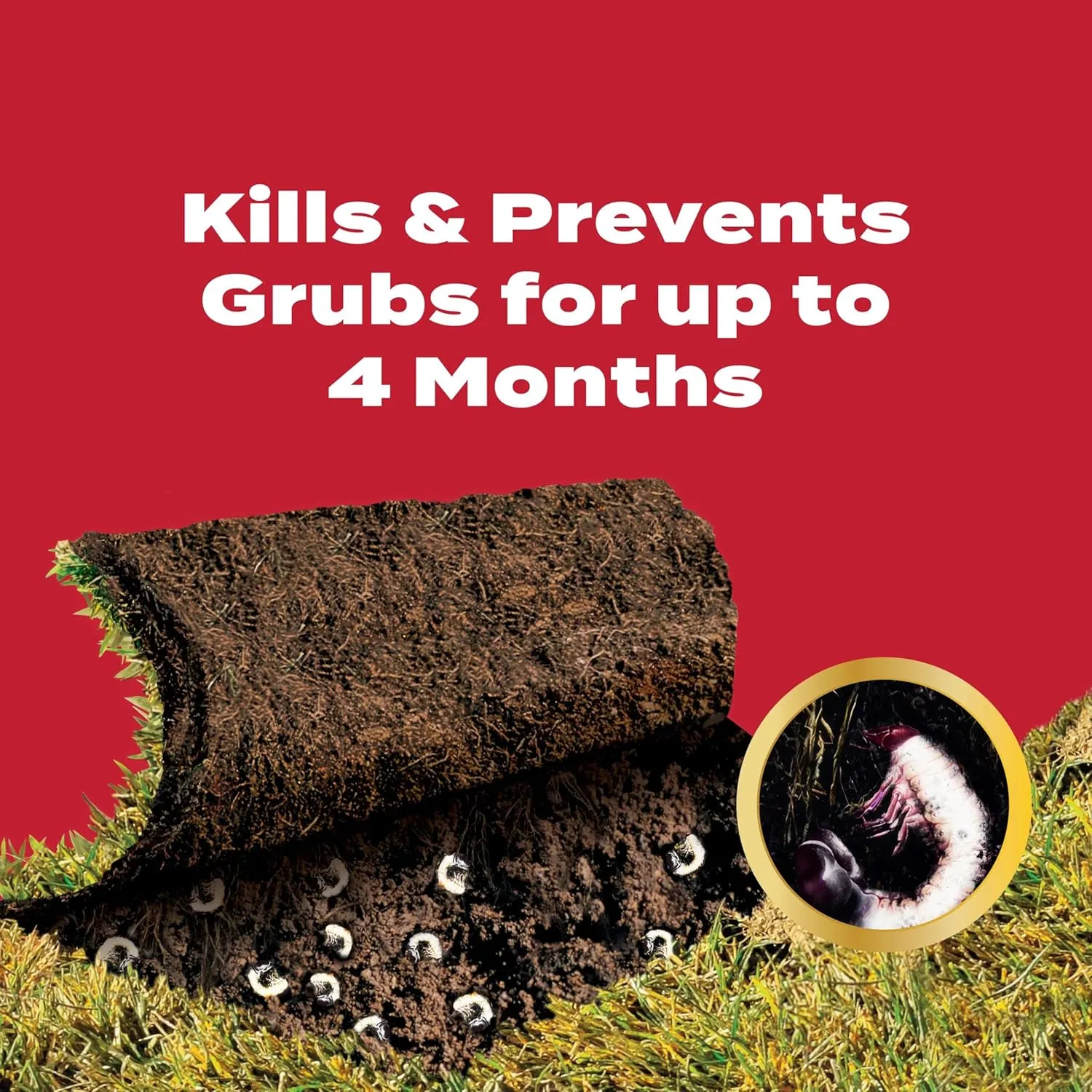 Scotts GrubEx1 Season Long Grub Killer, Protects Lawns Up to 4 Months, 10,000 sq. ft., 28.7 lbs