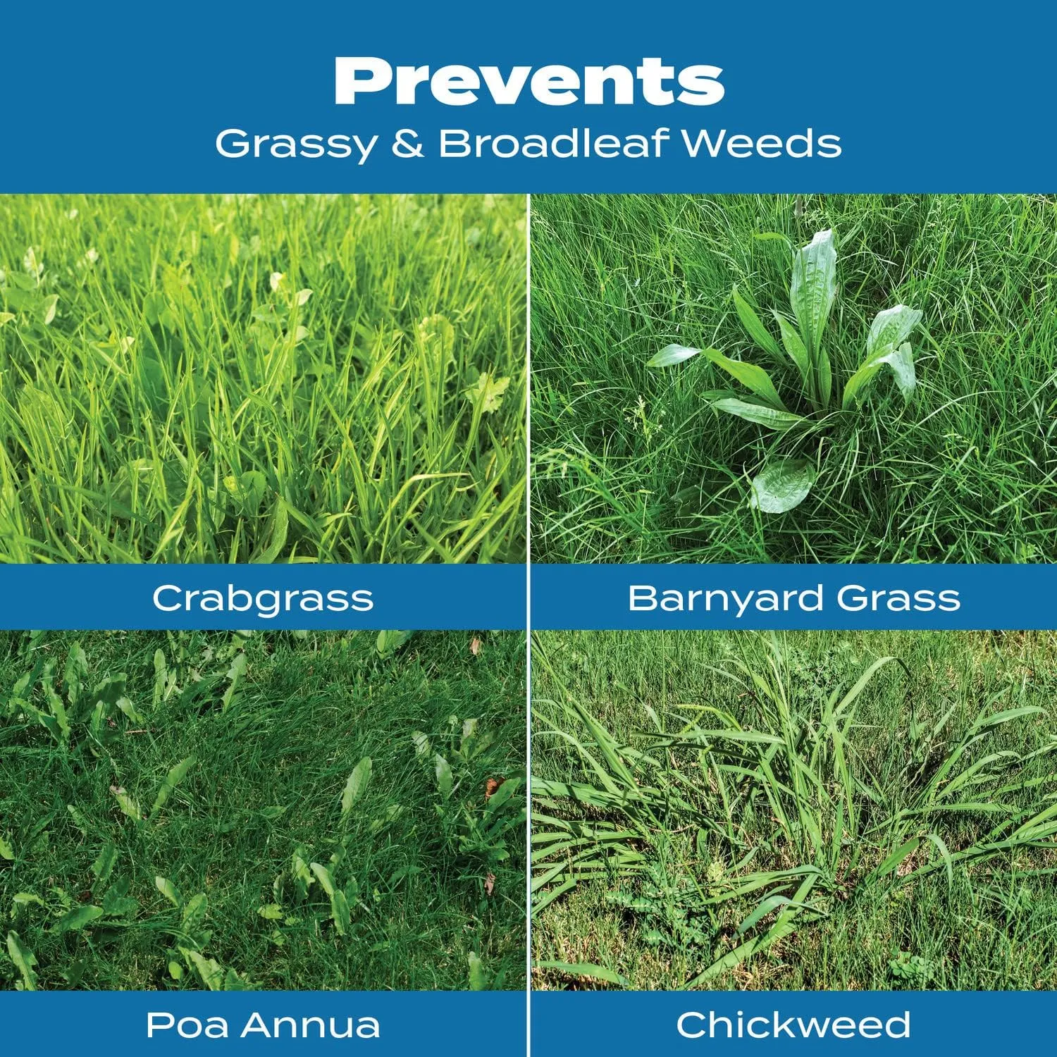 Scotts Turf Builder Halts Crabgrass Preventer with Lawn Food - Pre-Emergent Weed Killer, Fertilizer, 5,000 sq. ft., 13.35 lb.