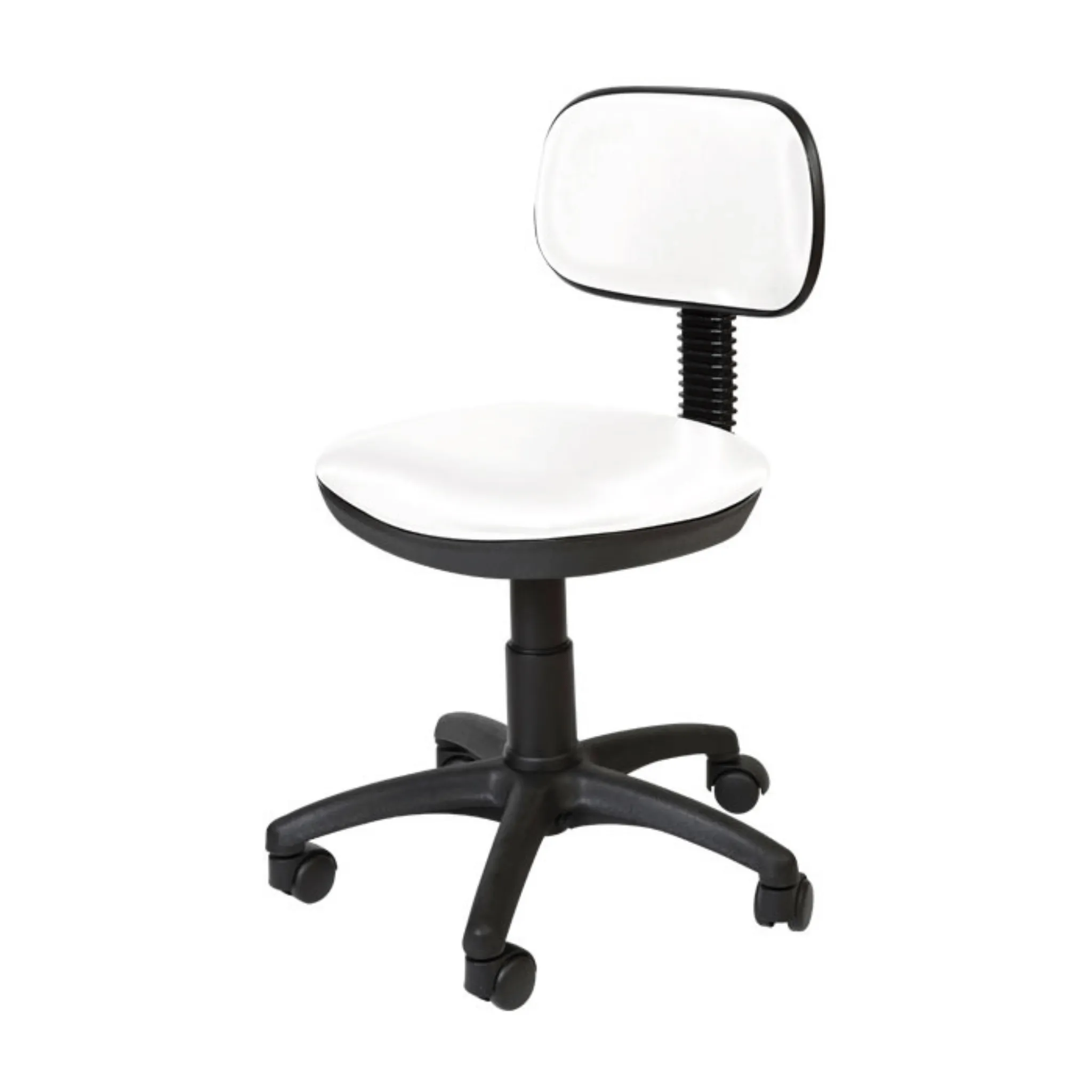 SkinMate Lite Salon Chair