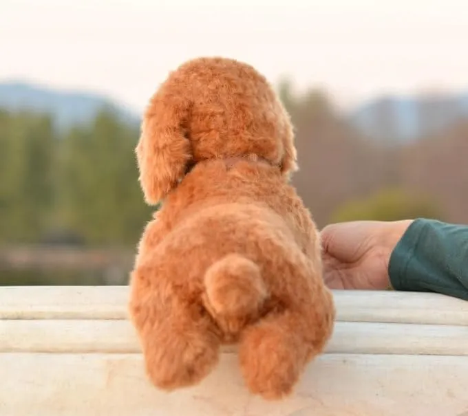 Small Simulation Teddy Dog Plush Toy Dog Doll Realistic Poodle with Aluminum Wire for Stable Sitting (Lying on The Front Limbs Without Aluminum Wires, Unable to sit steadily)