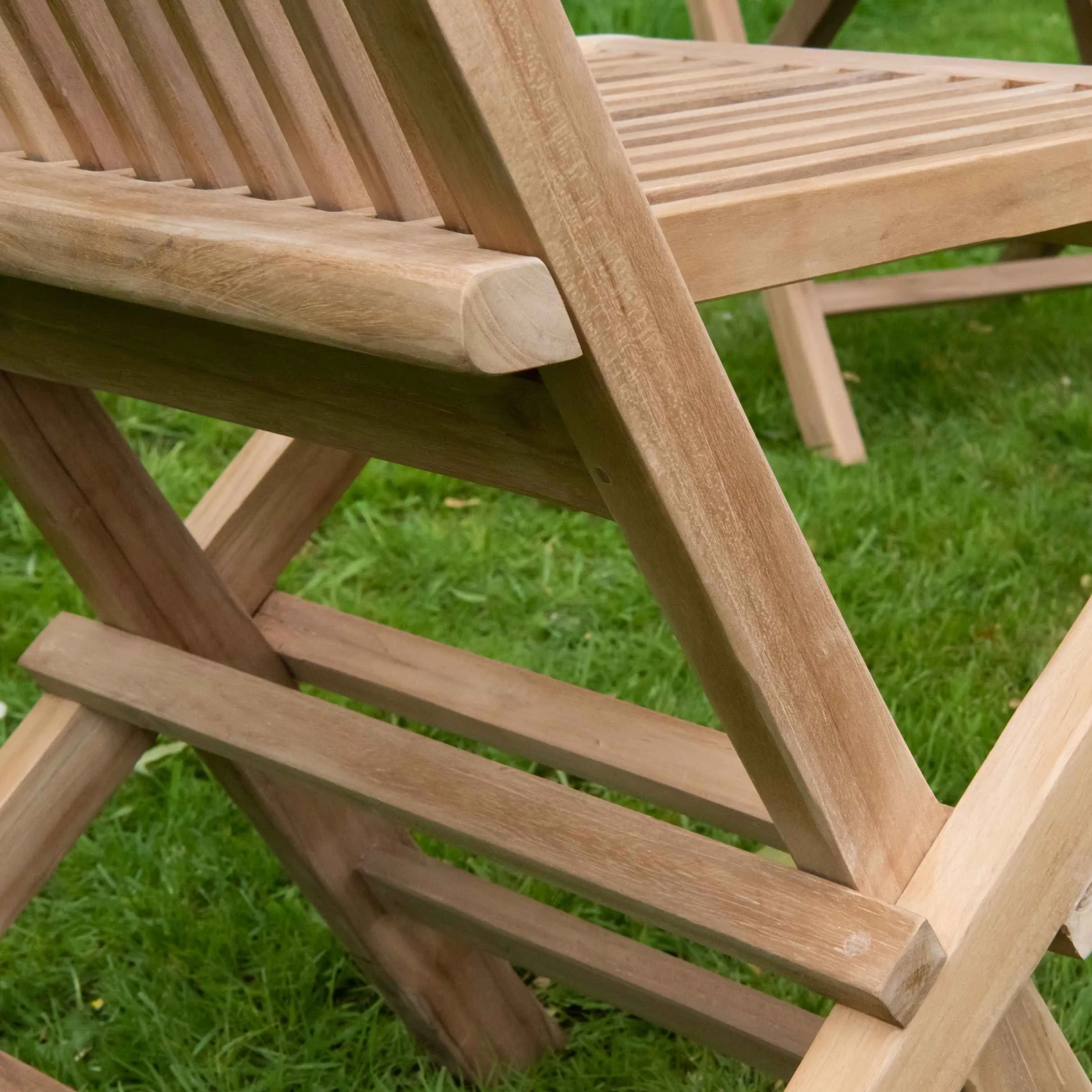 Snapdragon Folding Dining Chair