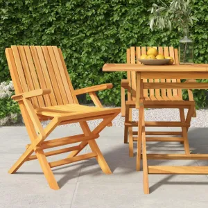 Solid Teak Wood Folding Patio Chairs 2-Pack 24"x26.4"x35.4" Outdoor Furniture Foldable Lounge Seating for Backyard, Poolside, Camping