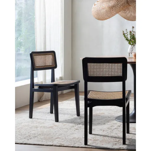 Stylish Arxan Teak & Rattan Chair