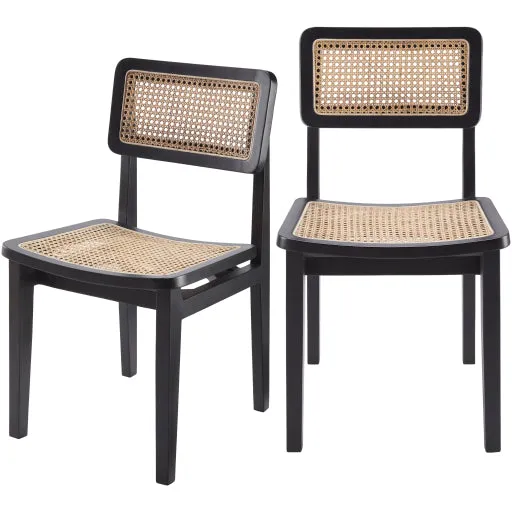Stylish Arxan Teak & Rattan Chair