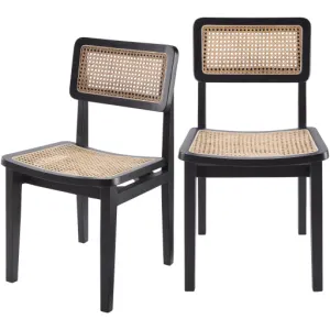 Stylish Arxan Teak & Rattan Chair