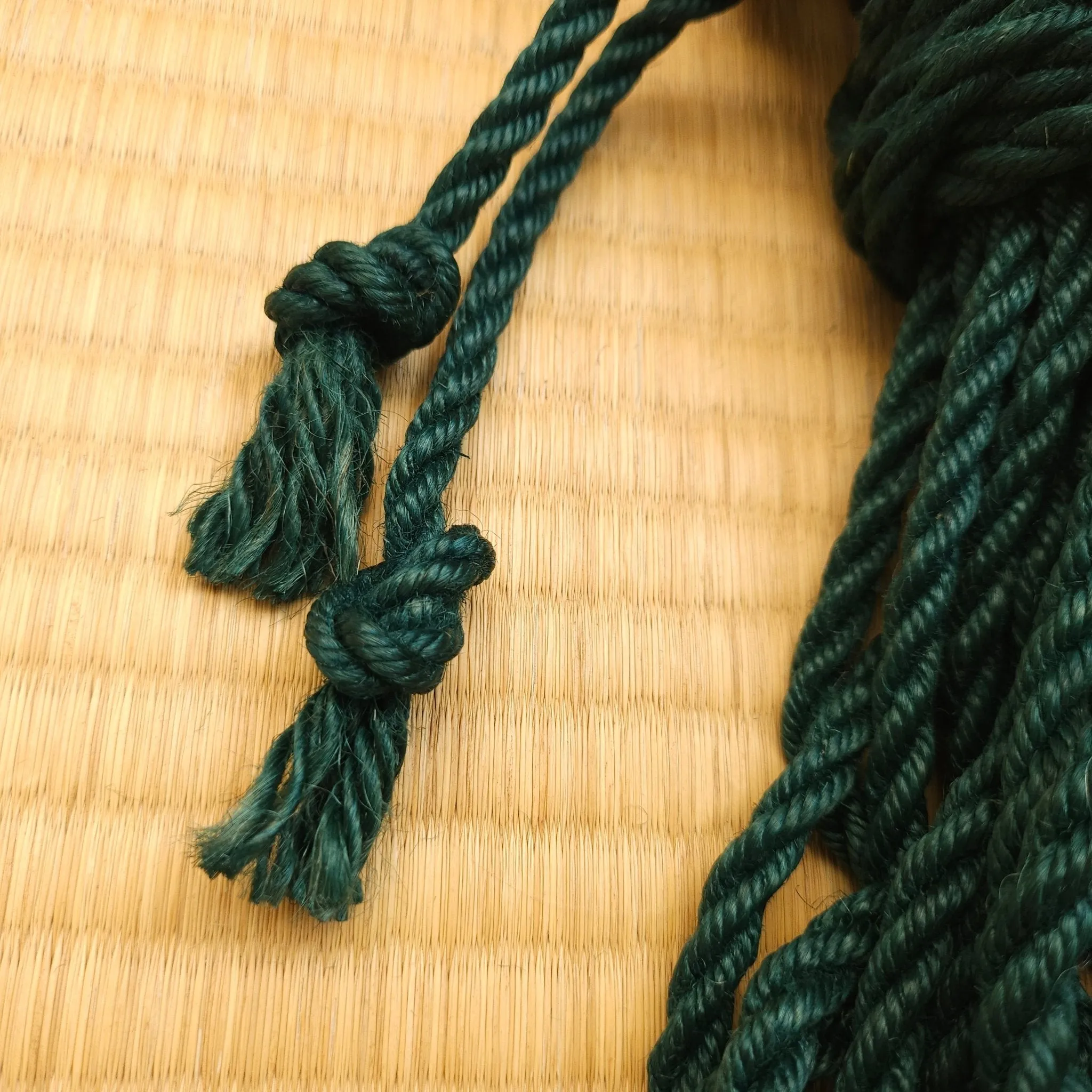 Teal - Fully Treated Jute Shibari Rope