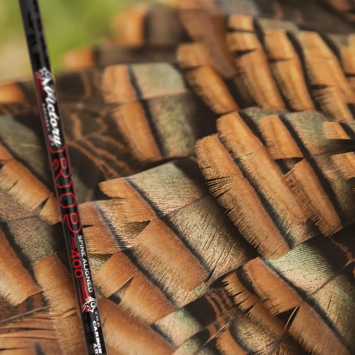 Victory Archery RIP 0.204" 250/300/350/400/500 Spine Small Diameter Carbon Hunting Arrow Vane Fletched 6 Pack