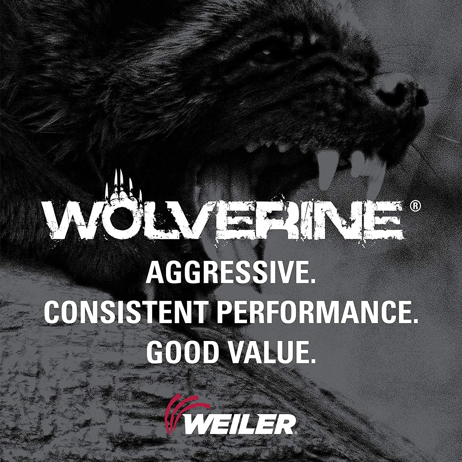 Weiler 59493 Wolverine Aluminum Oxide Resin Fiber Sanding & Grinding Disc, 4" Diameter, 50 Grit, 5/8" Arbor Hole (Pack of 25)