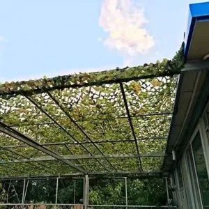 Woodland Camouflage Netting,Military UV Resistant Shade Camo Net Blinds for Camping Shooting Hunting Theme Party Decoration Outdoor Jungle Sunscreen Nets